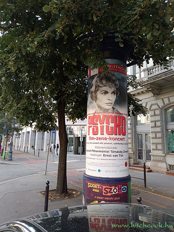 Psycho - 2025-09-05 Margitsziget