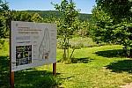 29-DSC09293_Bakonybel-kert-kert